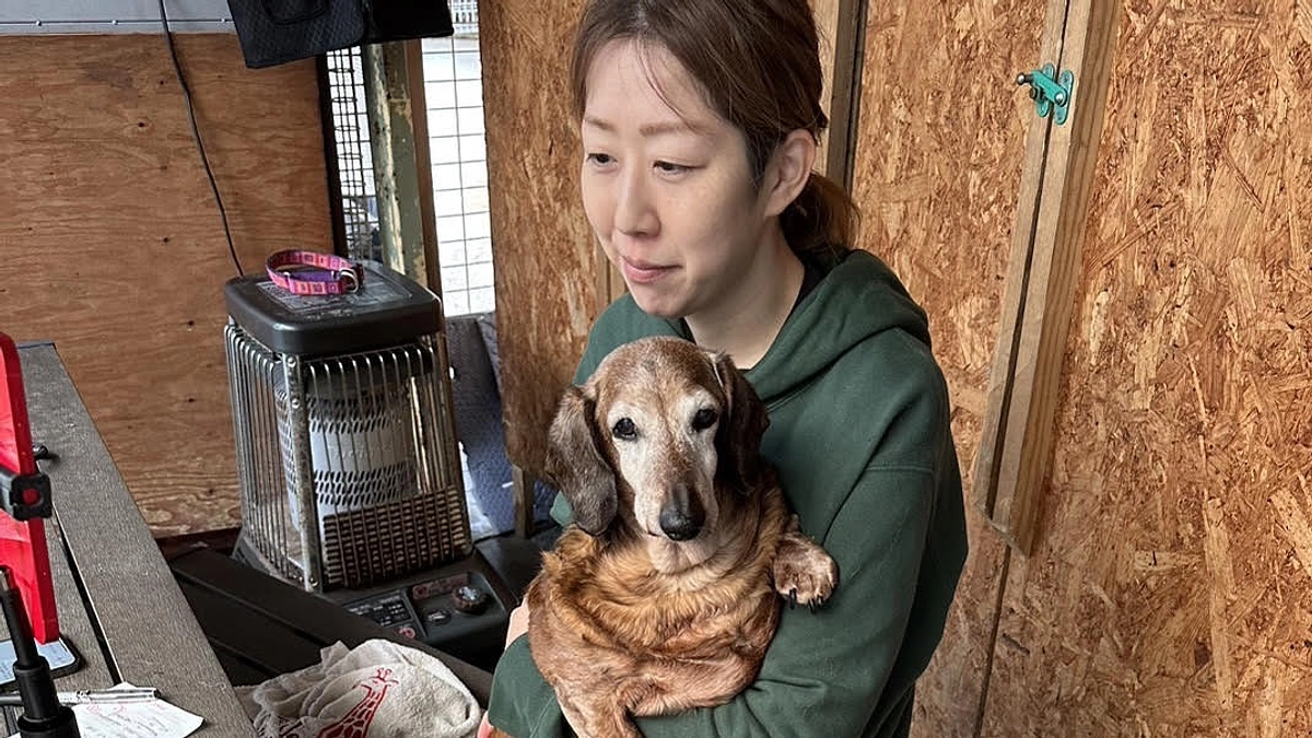 動画でみるおっぽの会〜ボランティア井上さん編〜