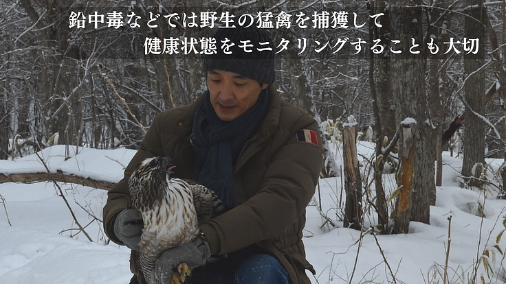 傷ついた希少猛禽類の命を全力で救い、より良い共生社会を目指したい！ 2枚目