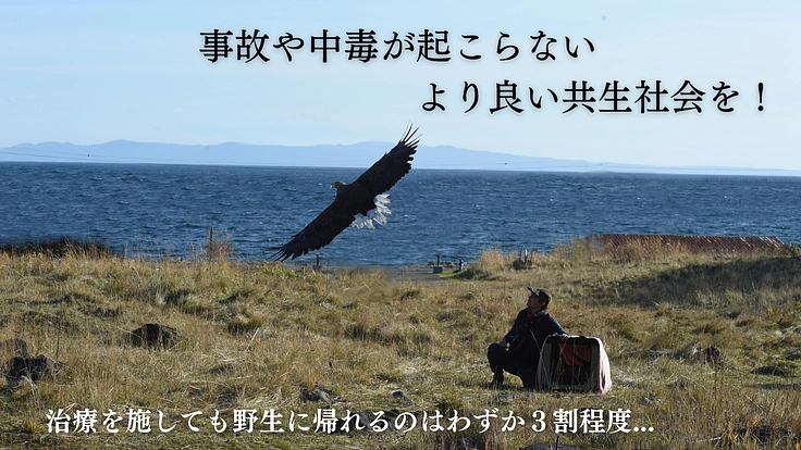 傷ついた希少猛禽類の命を全力で救い、より良い共生社会を目指したい！ 5枚目