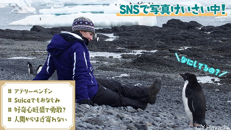 極地の謎を解明し、よりよい地球の未来を守る“隊員”になりませんか? 4枚目