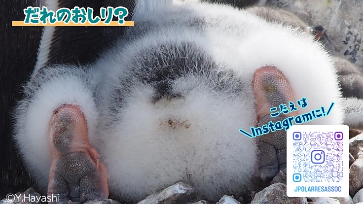 極地の謎を解明し、よりよい地球の未来を守る“隊員”になりませんか? 5枚目