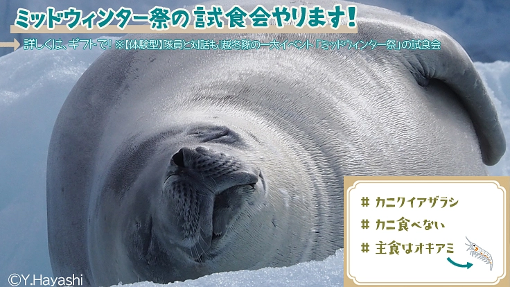極地の謎を解明し、よりよい地球の未来を守る“隊員”になりませんか? 7枚目