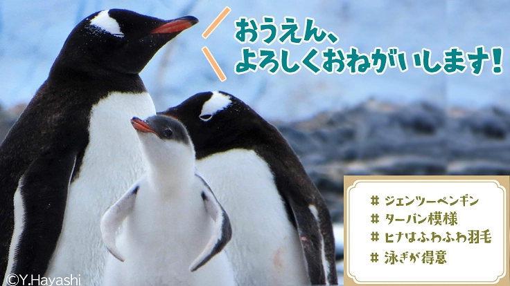 極地の謎を解明し、よりよい地球の未来を守る“隊員”になりませんか? 8枚目