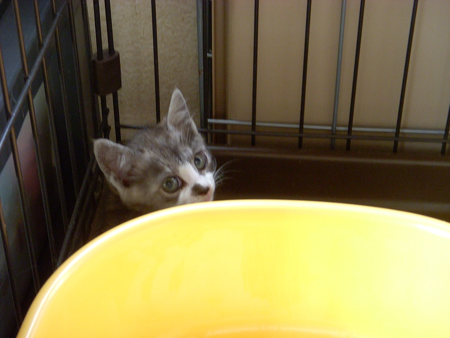 色んな考えがあるとは　思うけど・・・・