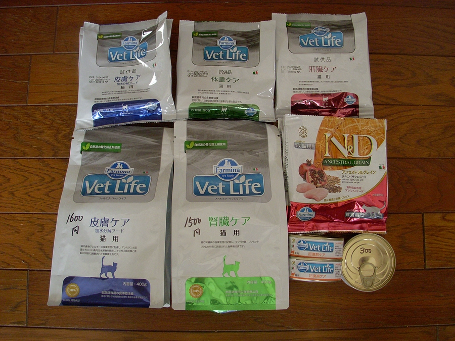 イースターさん　ピュリナさんに続き！サンプルフード、貰えました(๑•̀ㅂ•́)و✧