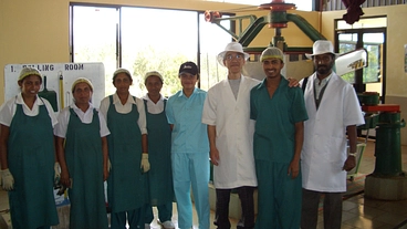 財政破たんした紅茶の国スリランカを紅茶葉発注で雇用を支援 のトップ画像