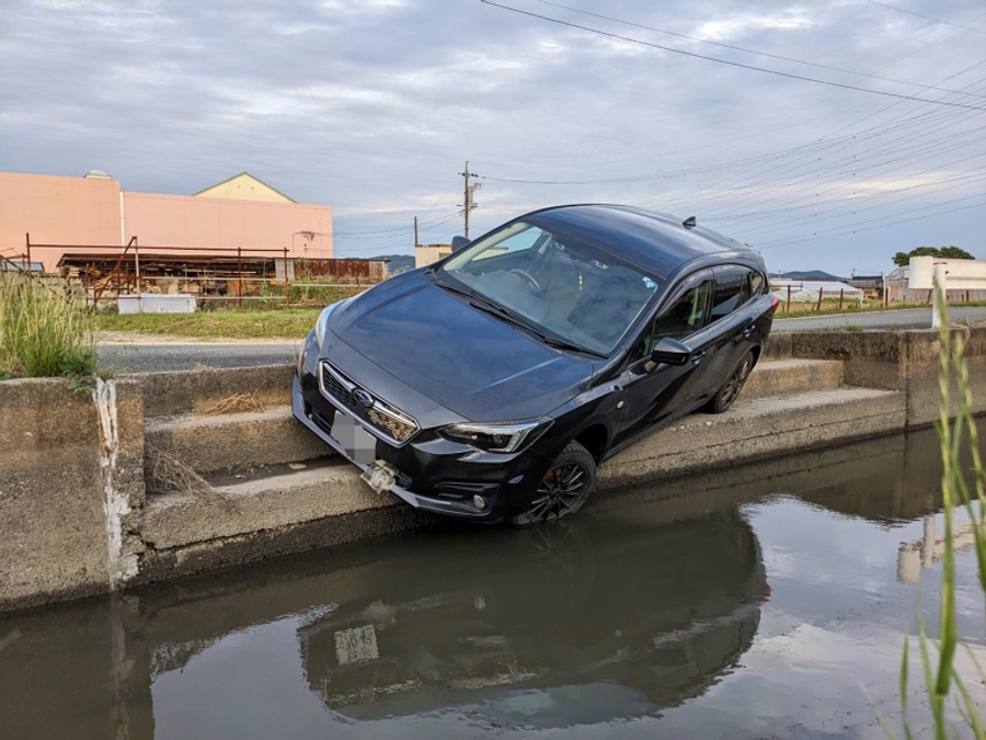 台風2号 現地調査報告