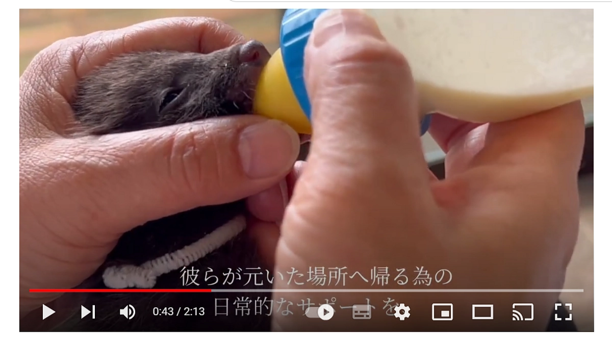 PR動画第二弾……？ YouTubeに動画をあげました！