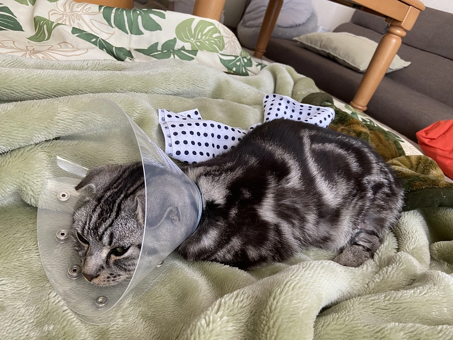 2023.6.7🔥 #闘病生活 50日目🔥