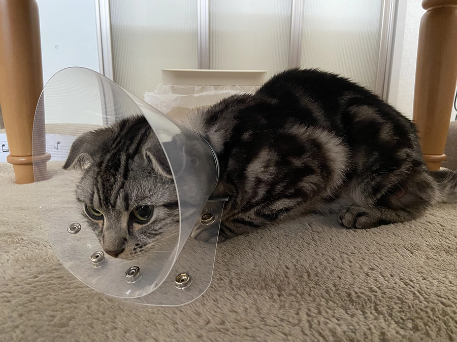 6月6日までの治療費代😣❗️