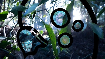 人が宿しているものを引き出し写真に収め「美」の概念を広げていきます のトップ画像