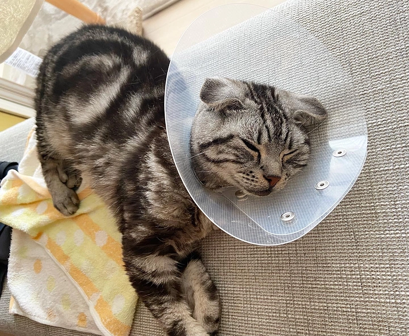 2023.6.10🔥 #闘病生活 53日目🔥