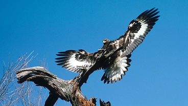 ＝＝イベントのお知らせ＝＝＝＝＝＝＝＝＝＝＝＝＝＝＝＝