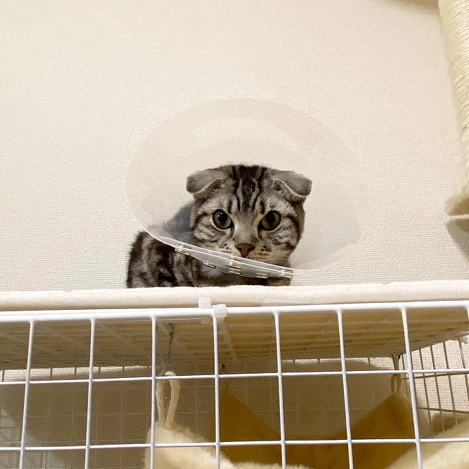 2023.6.11🔥 #闘病生活 54日目🔥