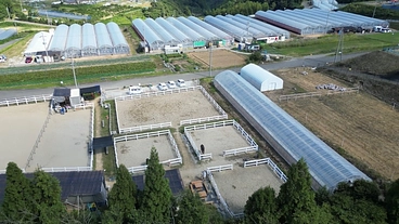 余生を過ごす牧場！新たなる放牧地を のトップ画像