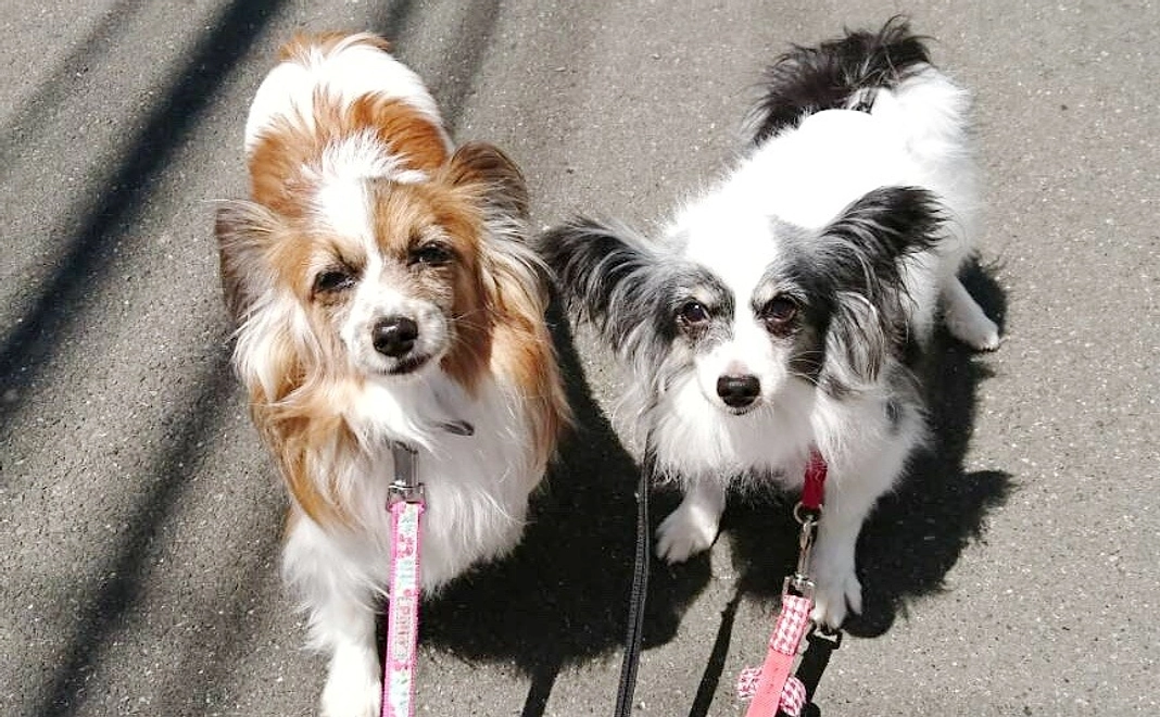 感謝の気持ちを込めたメールをお送り致します。1