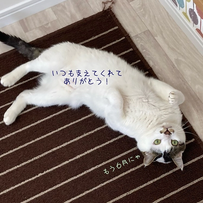 5月も支えていただきありがとうございました！