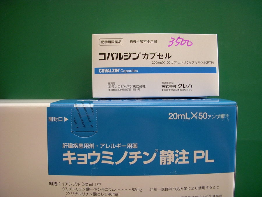 朗報！＼_(・ω・`)ｺﾚ注目