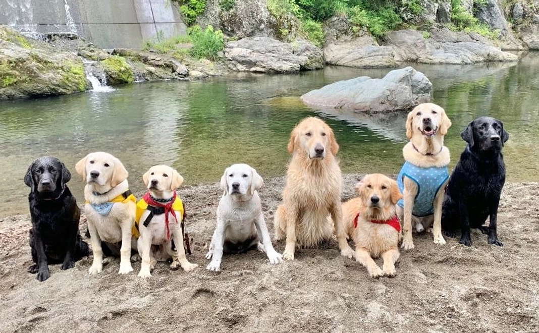 毎月3000円コース