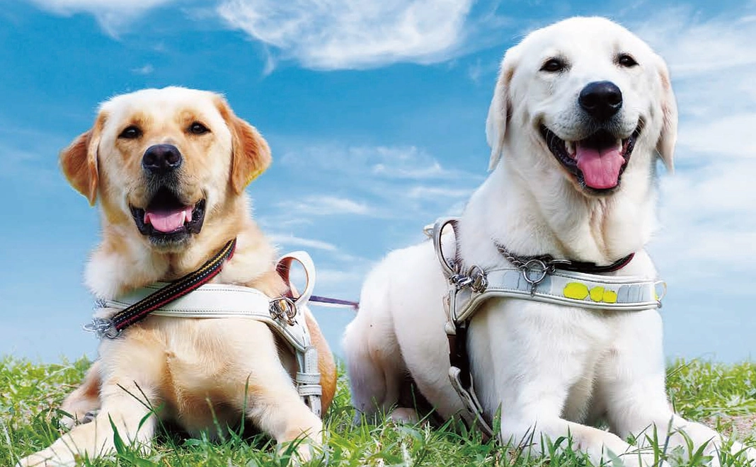 毎月5000円コース