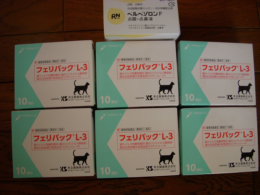 ワクチン、仕入れました　(`･ω･´)ゞ