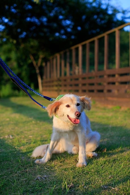 ホームページにご芳名掲載しました！