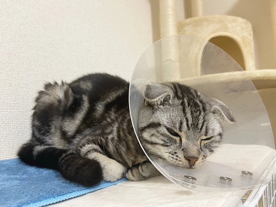 2023.6.17🔥 #闘病生活 60日目🔥