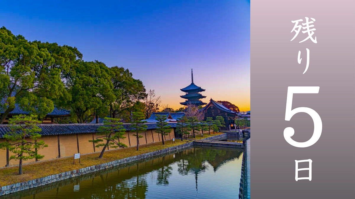 【残り5日】応援コメントのご紹介