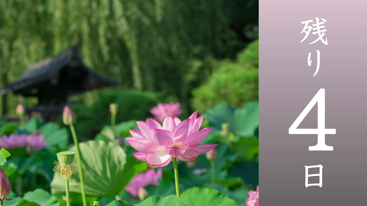 【残り4日】立教開宗1200年記念返礼品のご紹介