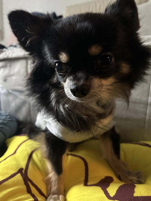 あと３日となりました！皆さまのお力をお貸しください。