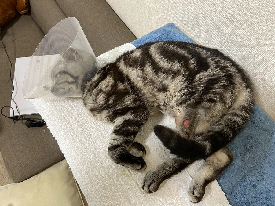 2023.6.13🔥 #闘病生活 56日目🔥