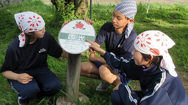 りんご並木のプレートを更新したい！～７０周年の並木をより美しく～ のトップ画像