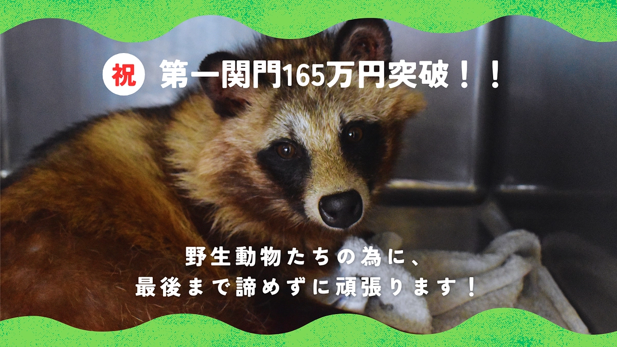 祝 第一関門突破！！ 治療を頑張っている子達の為に、最後まで諦めません