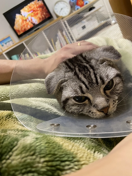 2023.6.15🔥 #闘病生活 57.58日目🔥