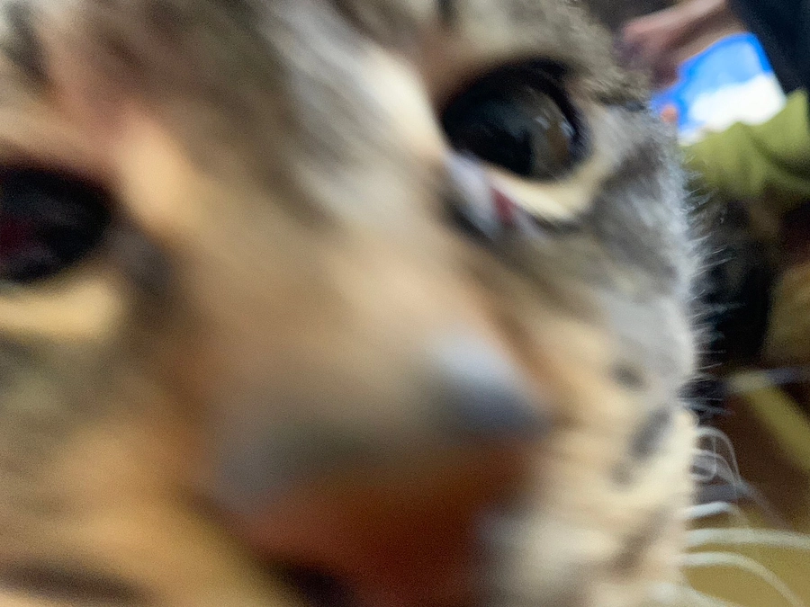 海のジェットコースター！上陸から再会へ