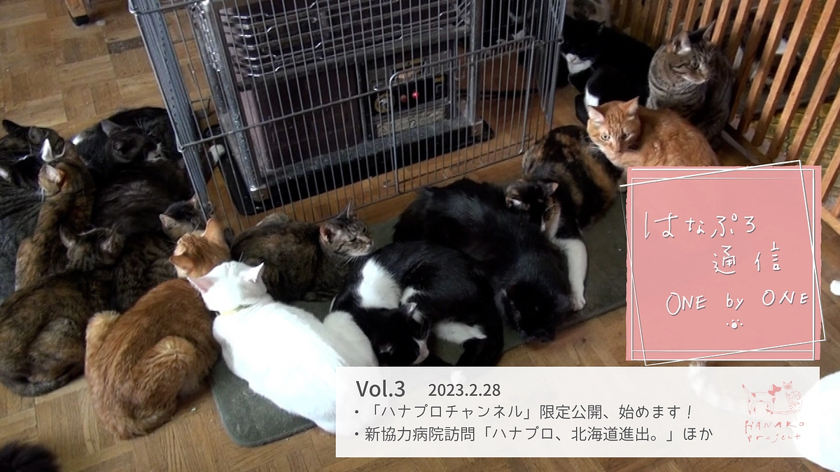 「はなぷろ通信　one by one」Vol.3