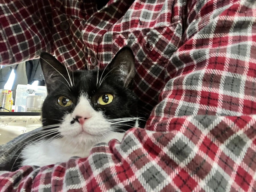 宇宙人ヌーボ通信　ぬ…ぬぼぼぼぼぼ