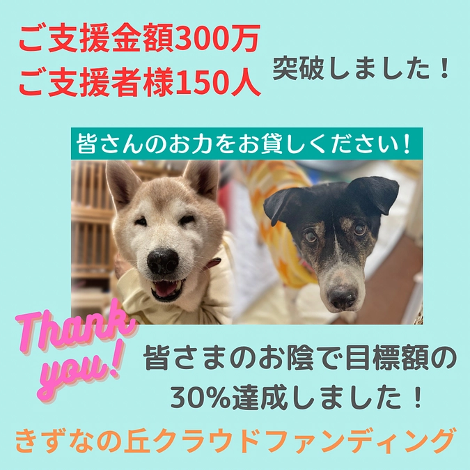 150人300万円突破しました！
