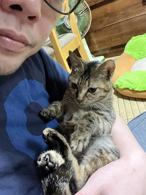 ネクストゴールも無事に達成、あと1日になりました