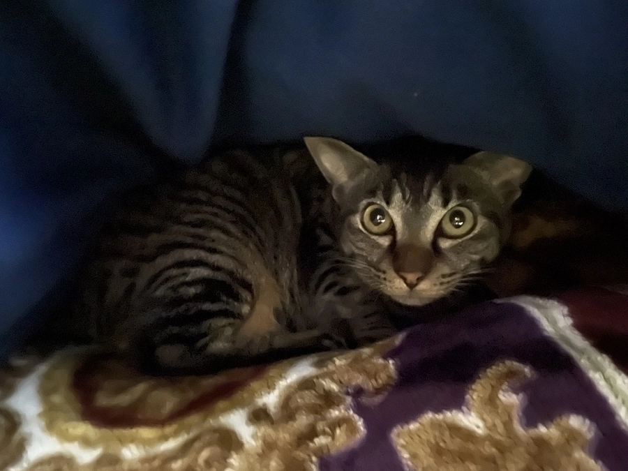 少し慣れてきたちーちゃん