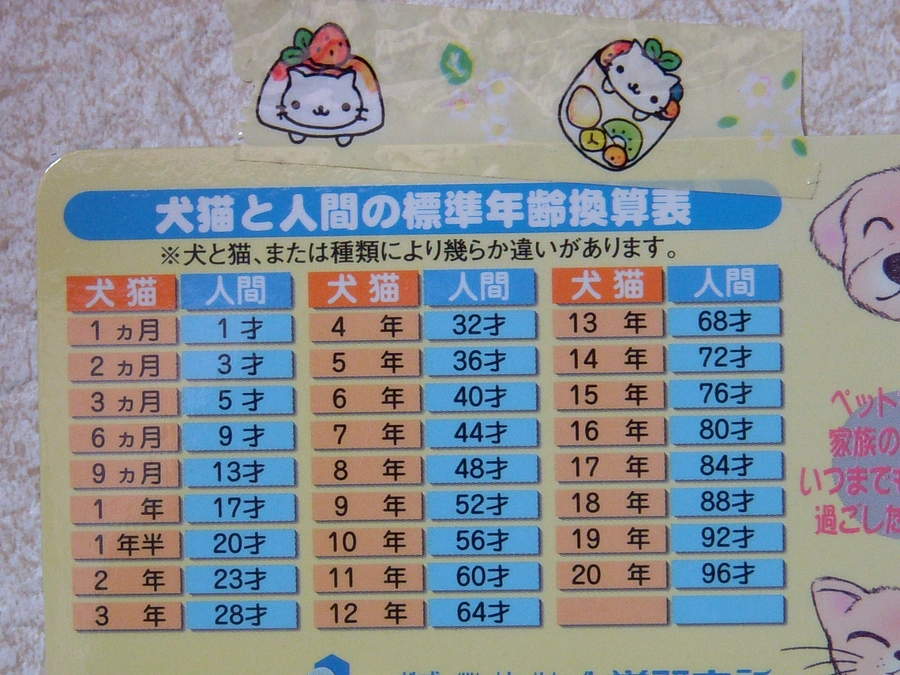 支援金の使い道について