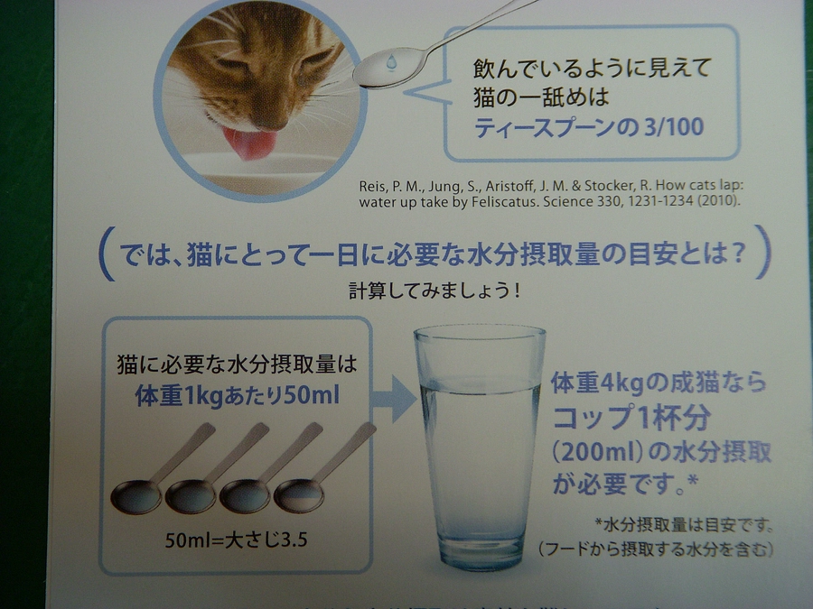 残り１０日になりました