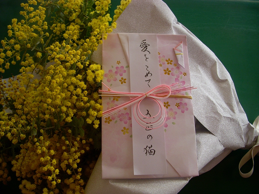 カフェ 五匹の猫さんよりミモザと愛を頂きました