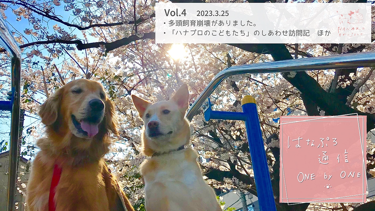 「はなぷろ通信 one by one」Vol.４