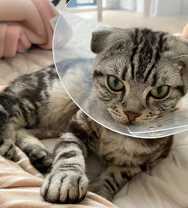 2023.6.21🔥 #闘病生活 64日目🔥