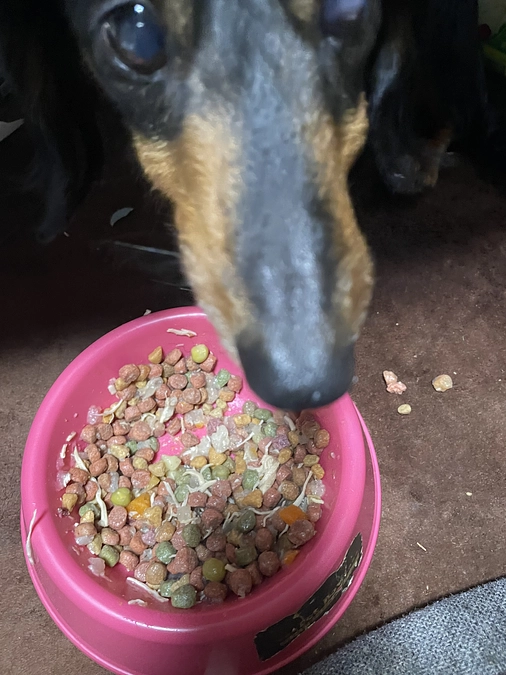 残り6日となりました