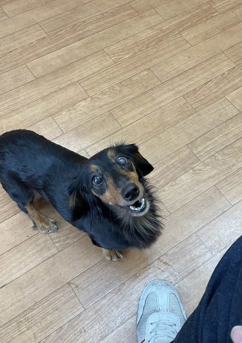 現在の私とクゥについて