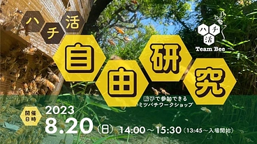 親子で参加できるミツバチワークショップを開催したい！ のトップ画像