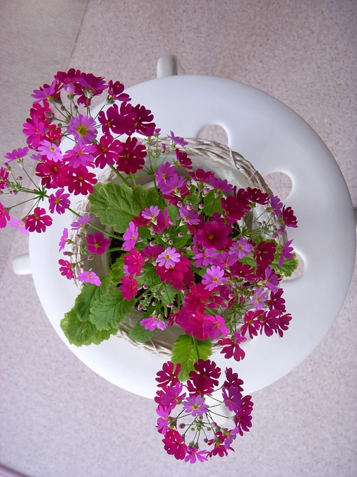 やっぱり熊が怖い　🐻