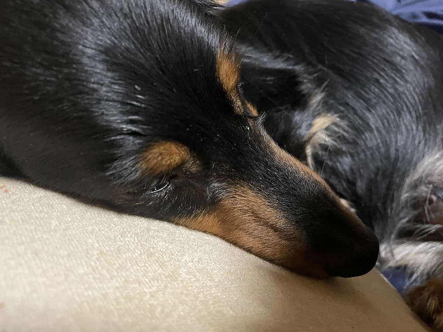 直接支援頂きましたご支援金を反映しました